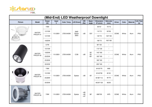 (Mid-End) LED Weatherproof Downlight