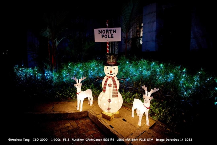 Starled Technology Lighting Solutions Residential Lighting Lighted Rabbit Figurine LED Lighting Outdoor Lighting Festive Lighting Lighted Snowman and Reindeer