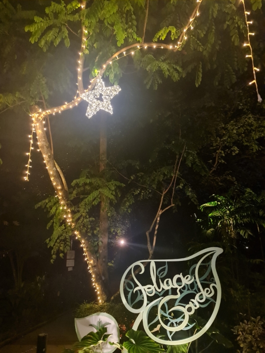 Starled Technology Fairy LED Lights Decorative Lights Festive Lights String Light Botanic Gardens Christmas 2022 Lights