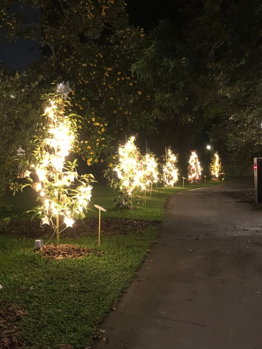 Starled Technology Fairy LED Lights Decorative Lights Festive Lights String Light Botanic Gardens Tress Lighted Trees