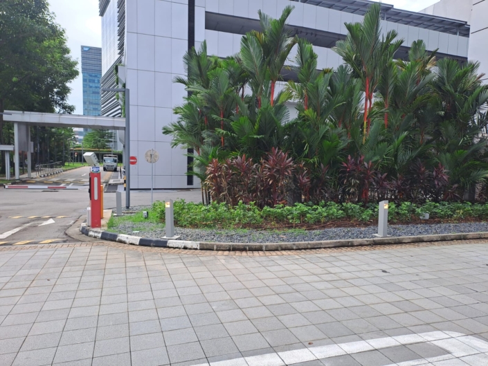 Bollard Lights Mapletree Light Installation