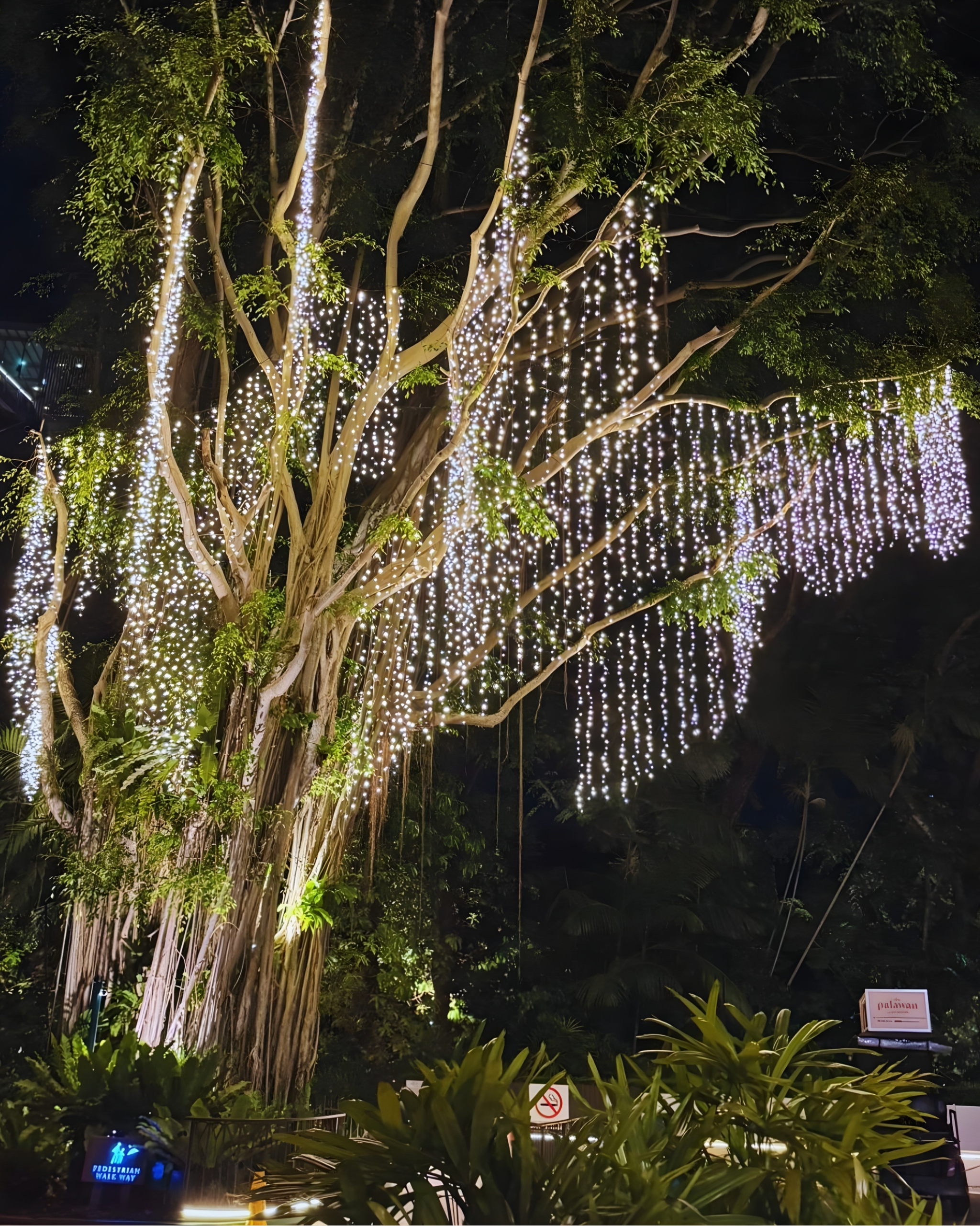 5-Star Shangri-La Rasa Sentosa - Curtian Light - StarLED Technology